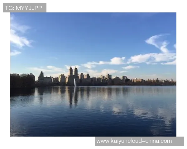 康乃狄阳光与纽约的对决谁将成为城市之光的引领者